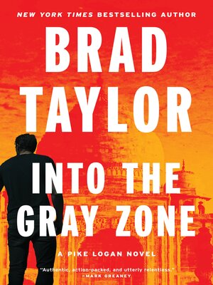 Into the Gray Zone - ebook
